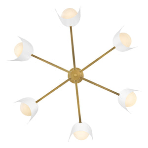 Zuri 6L chandelier - 84236LCB-SO