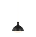 Lucerne 1L Pendant - AEP1021BBSMBK