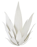 Agave 2L Sconce - FR30810TXP