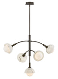 Phoebe 5L Large Chandelier - FR38405BX